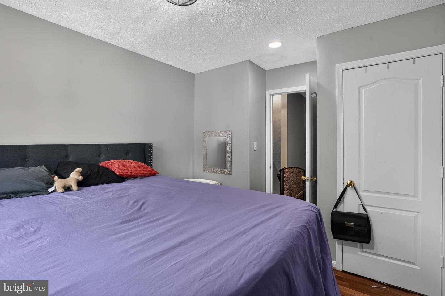 9703 Reiker Drive photo 18