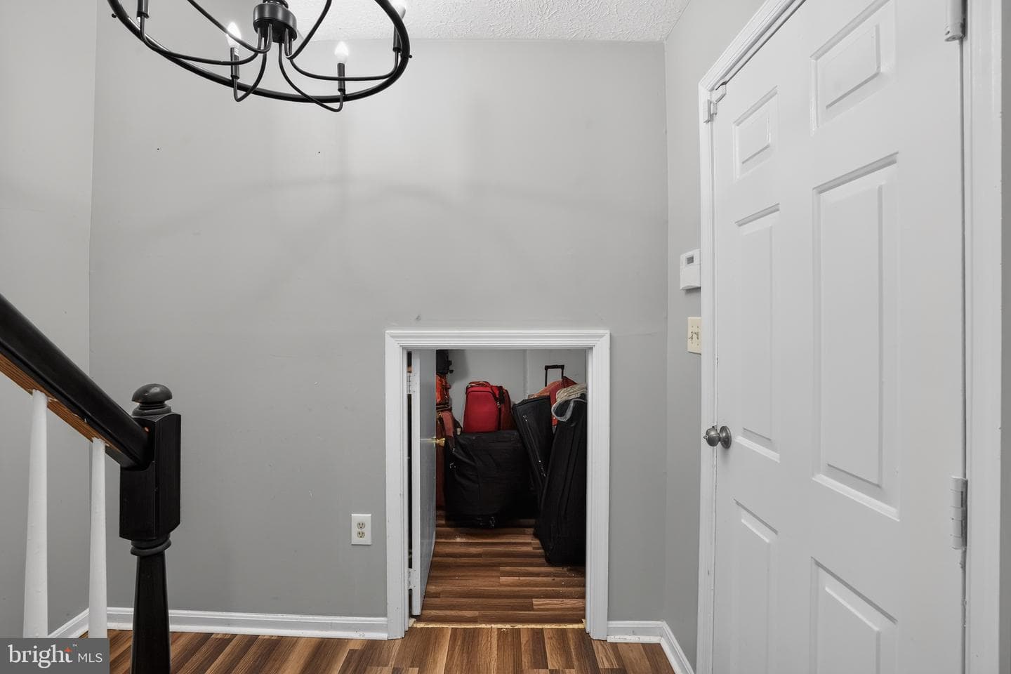9703 Reiker Drive photo 22