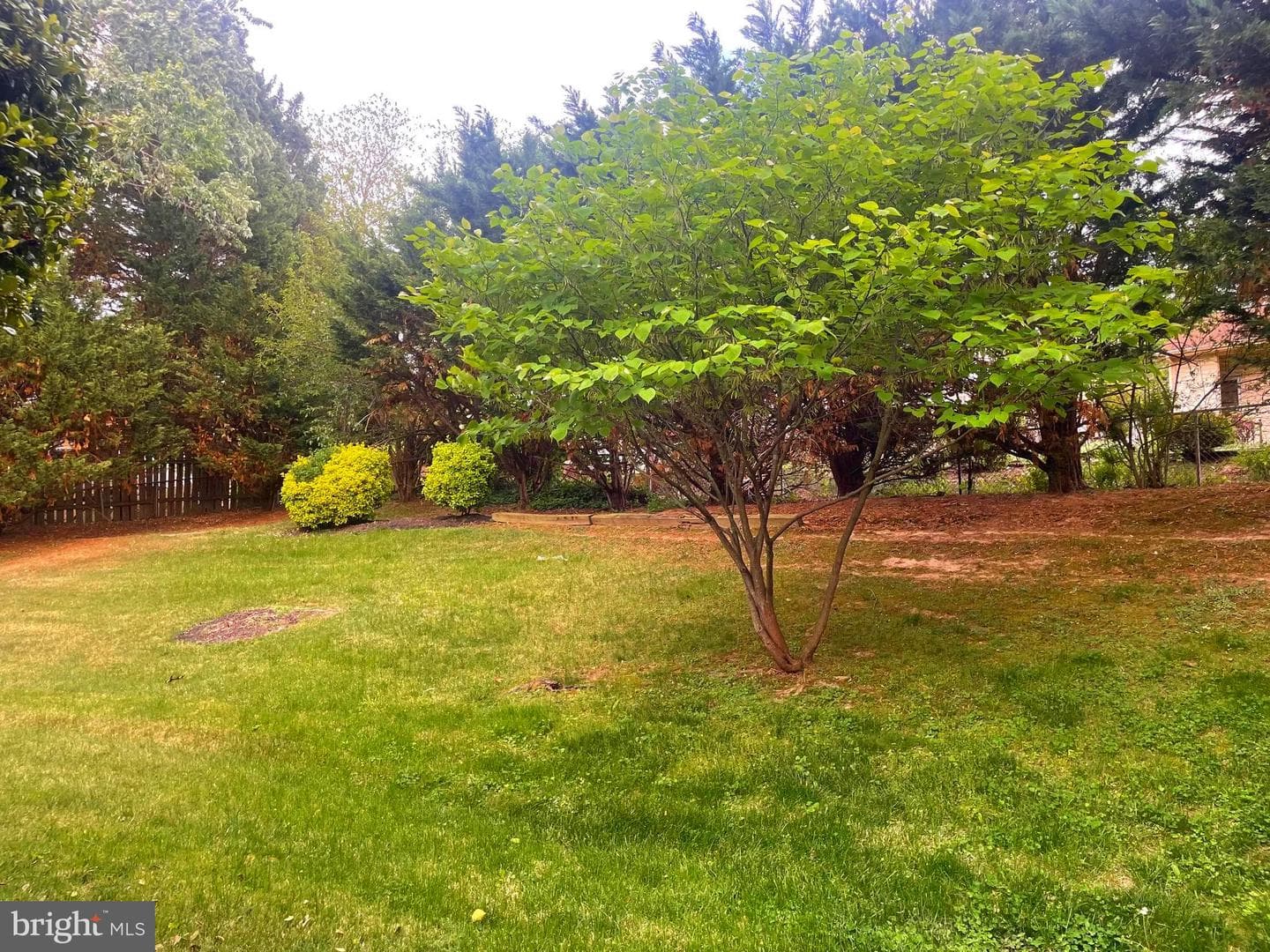 11007 Phillips Dr photo 24