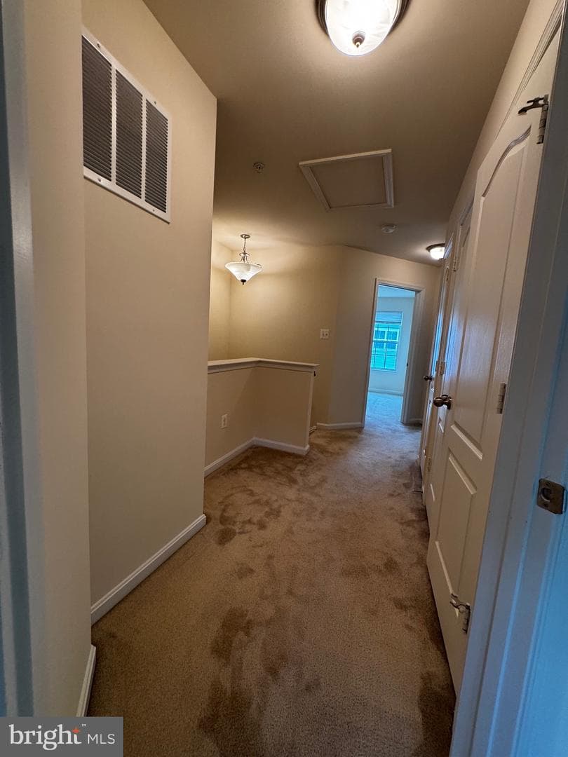 7331 Archsine Lane photo 15