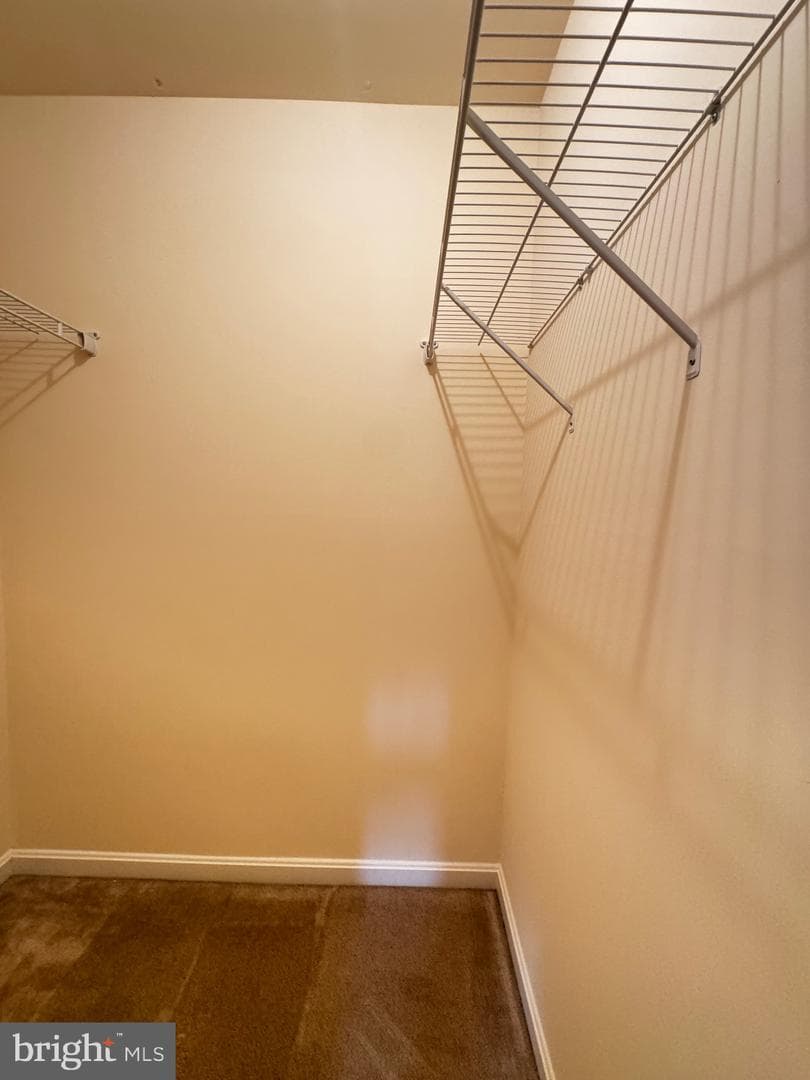 7331 Archsine Lane photo 19