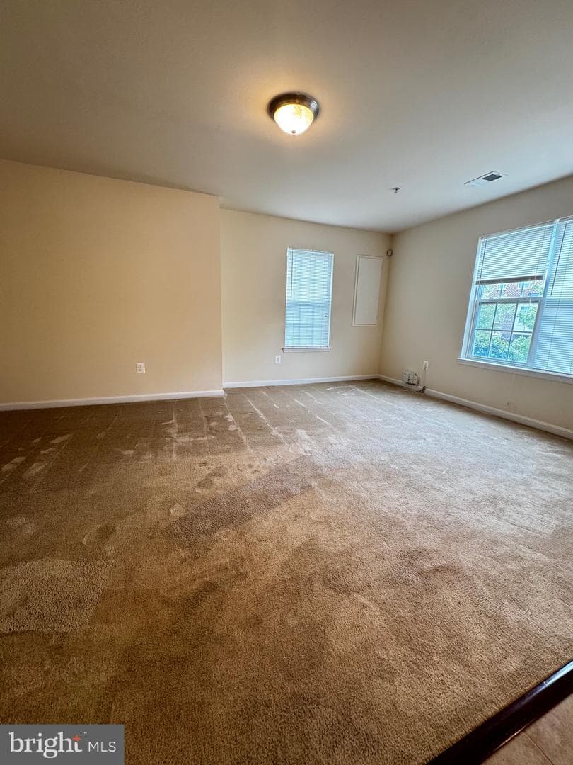 7331 Archsine Lane photo 99