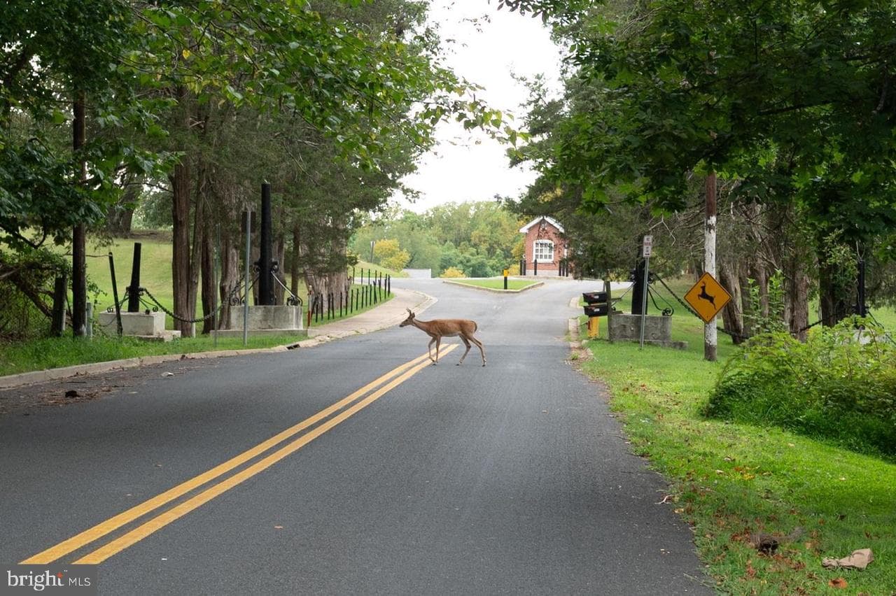 401 Rexburg Avenue photo 52