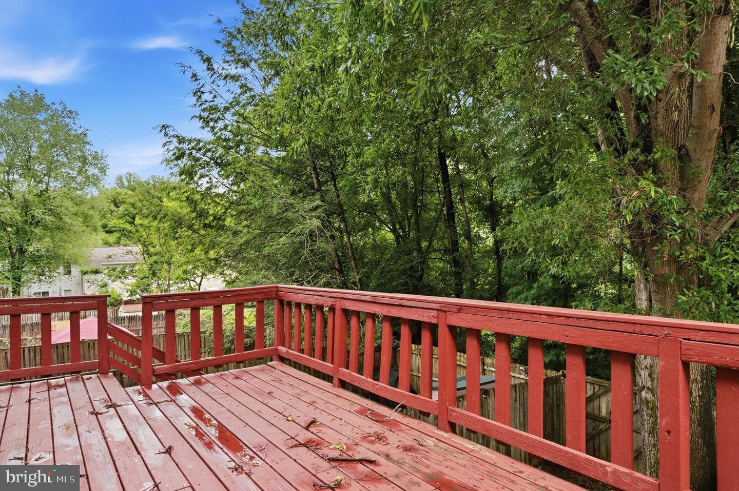 13013 Trumbull Drive photo 12