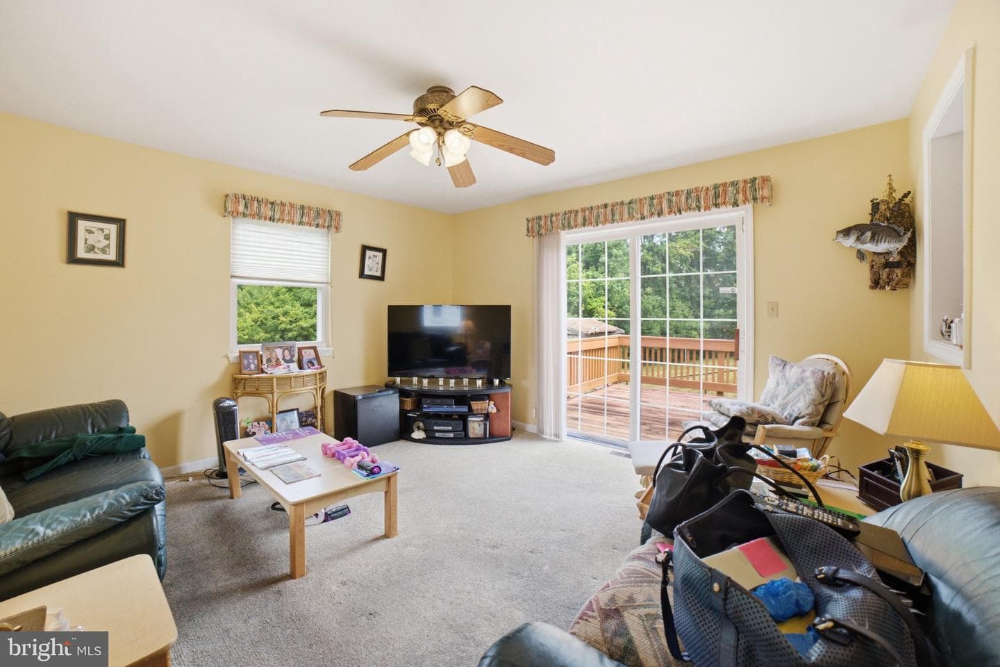 907 Logwood Road photo 6