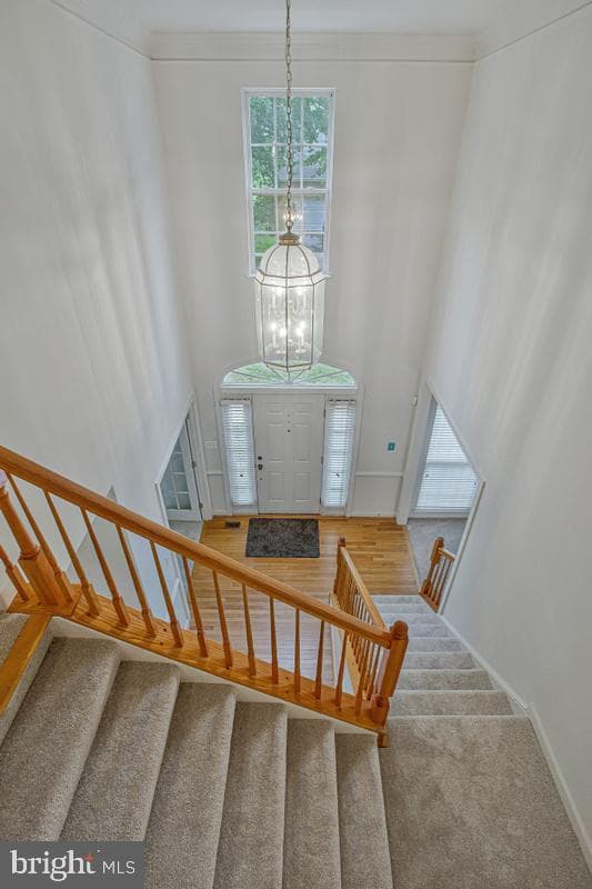 2310 Nicol Circle photo 25