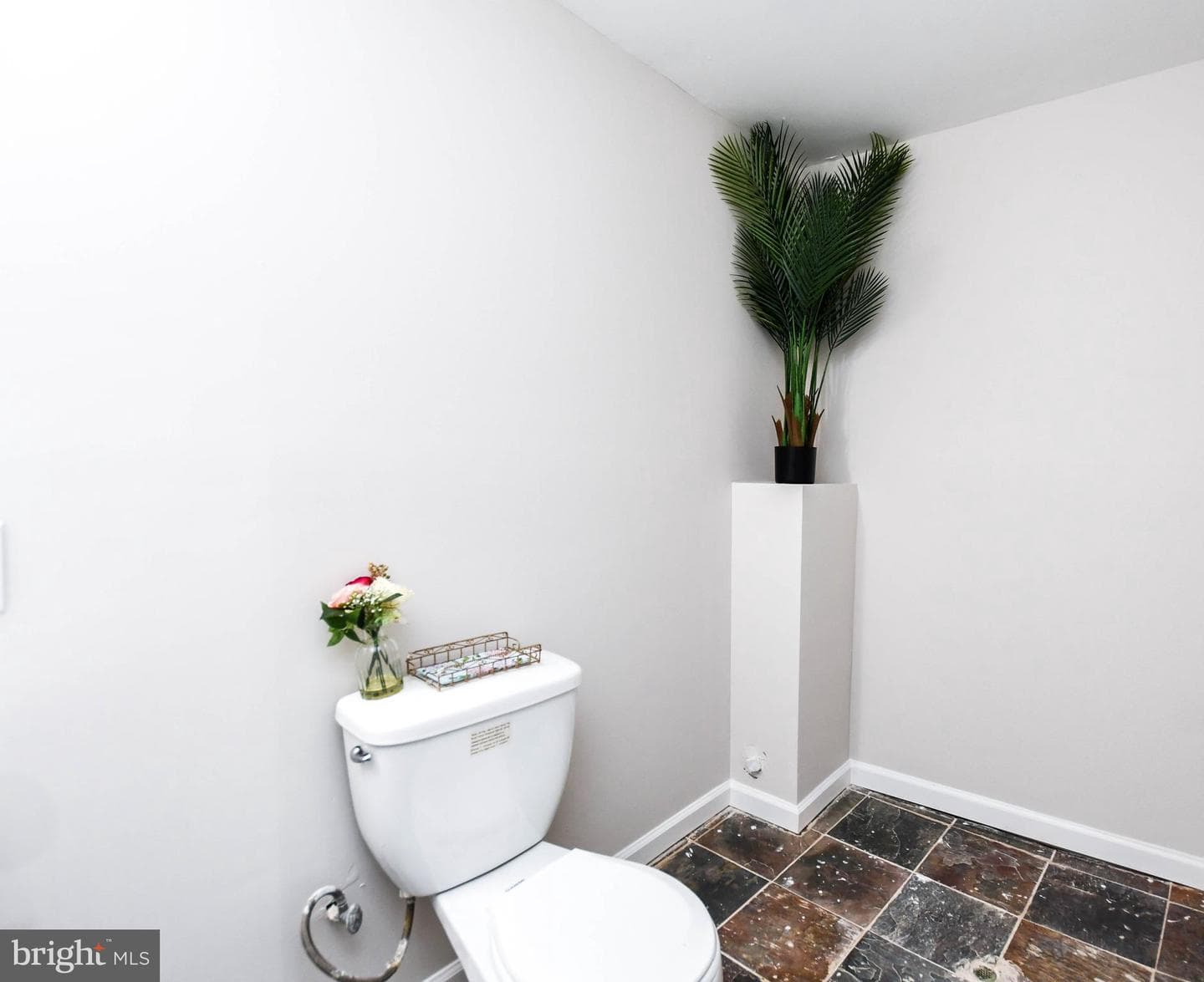 1112 Ryon Way photo 49
