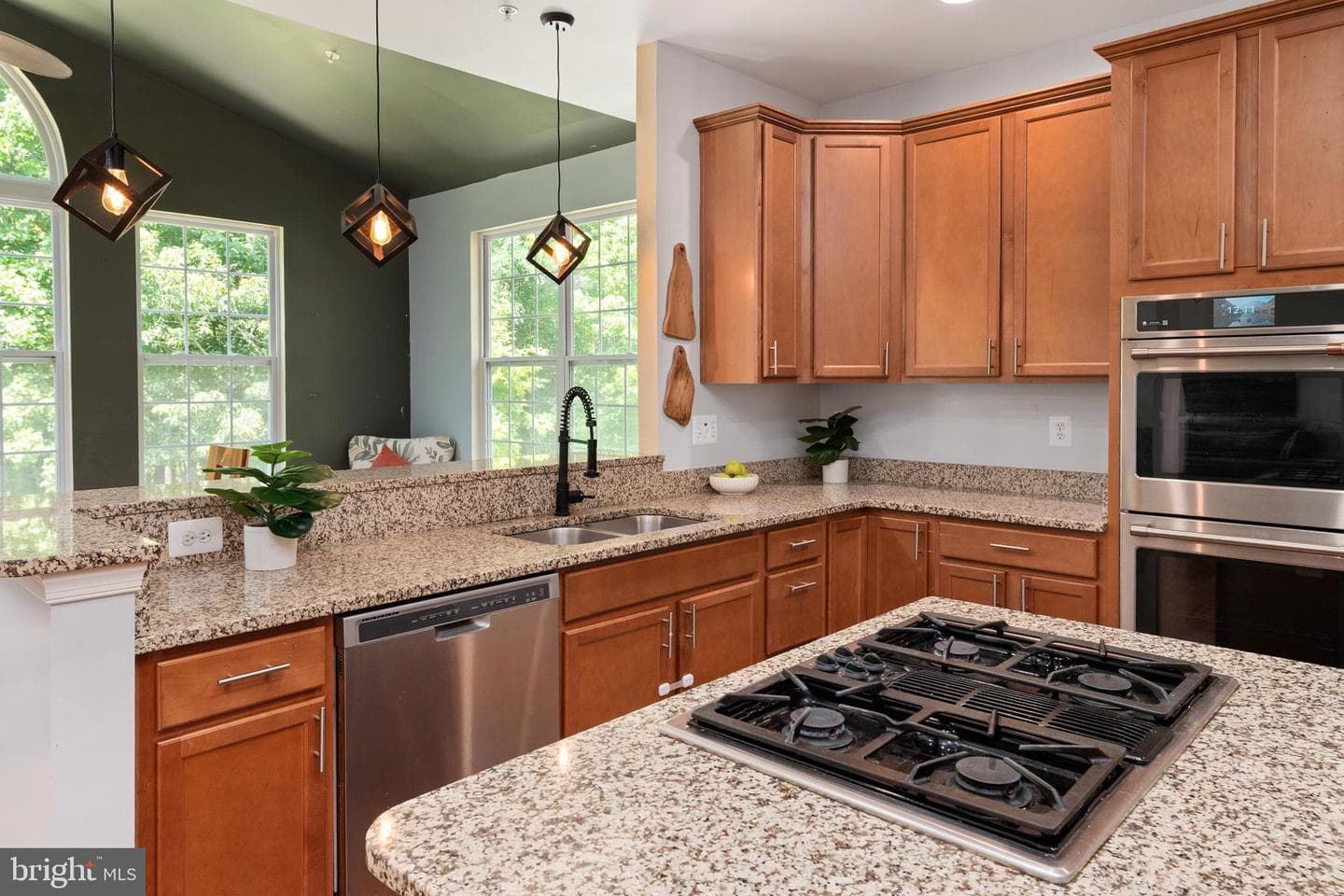 10707 Quaking Aspen Way photo 19