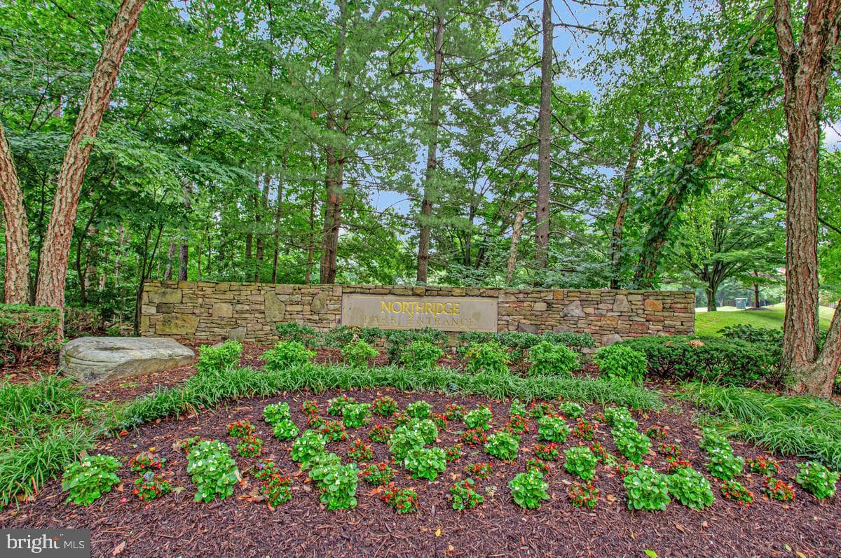 12201 Quintette Lane photo 45
