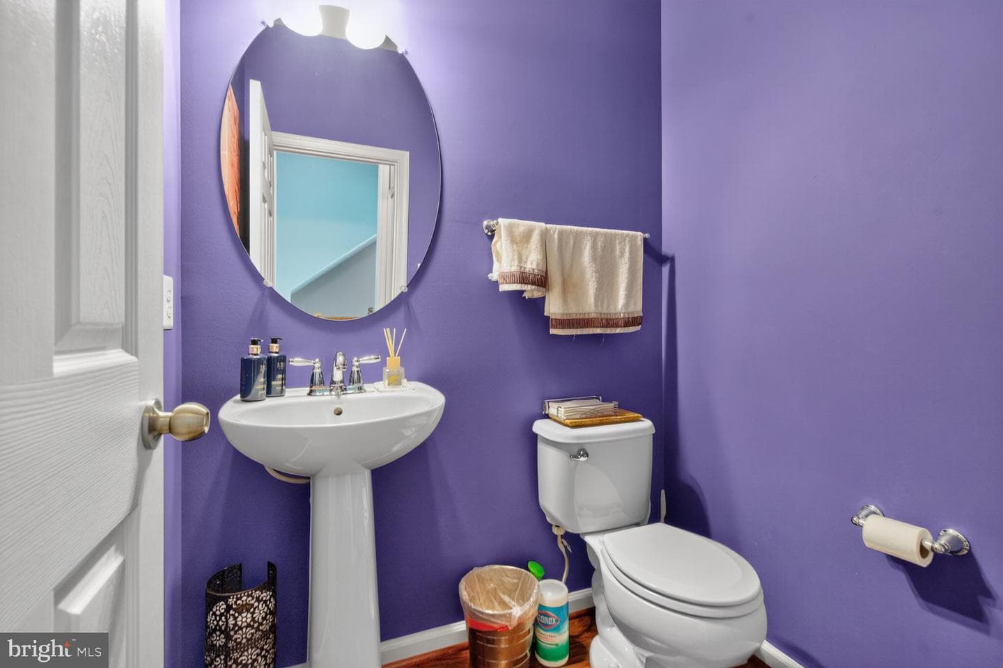 7243 Silver Thorn Way photo 8