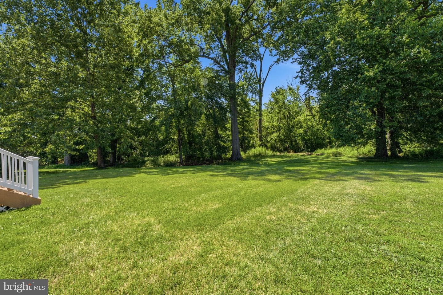 14108 Greenview Drive photo 56