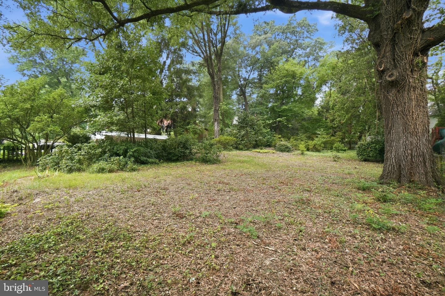 7004 Wake Forest Drive photo 34