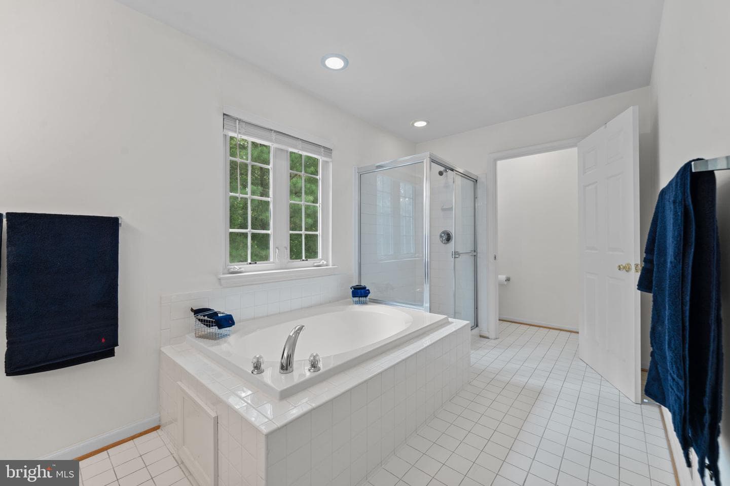 1005 Andean Goose Way photo 24