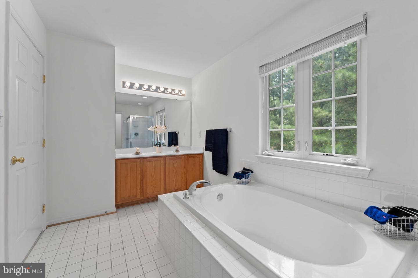 1005 Andean Goose Way photo 25