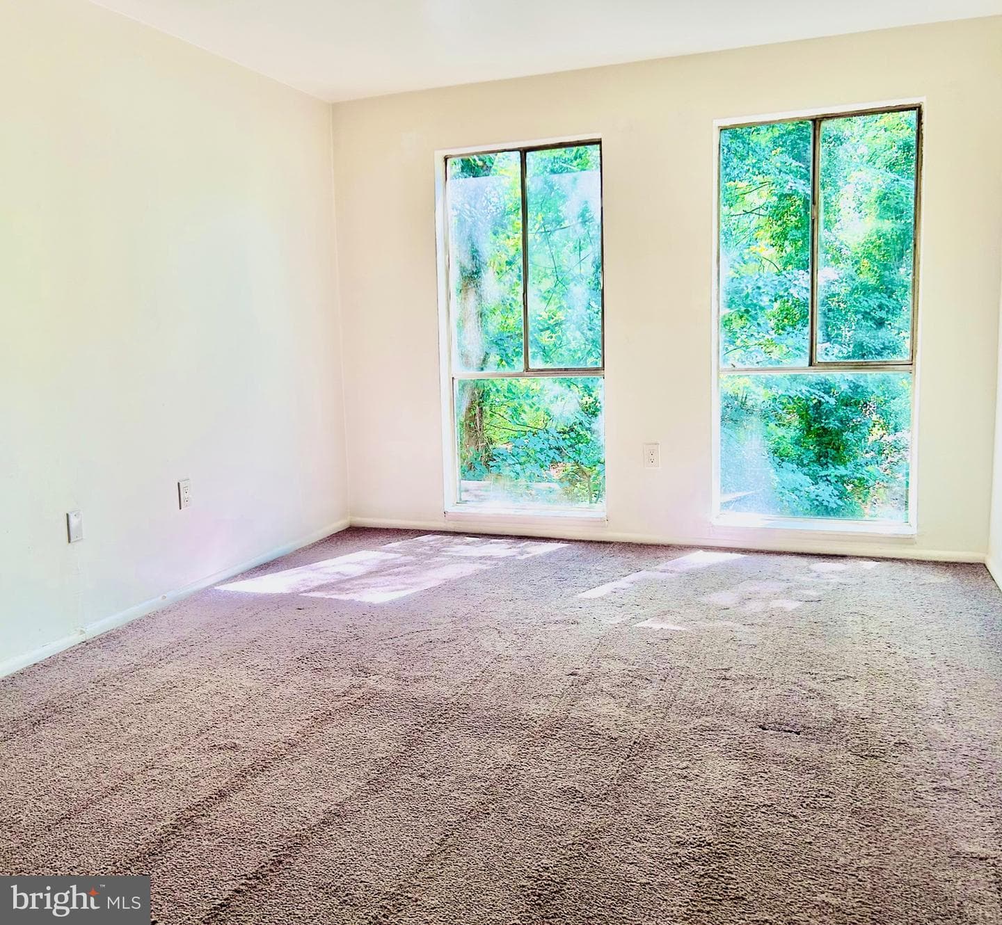 5219 Newton Street #102 photo 3