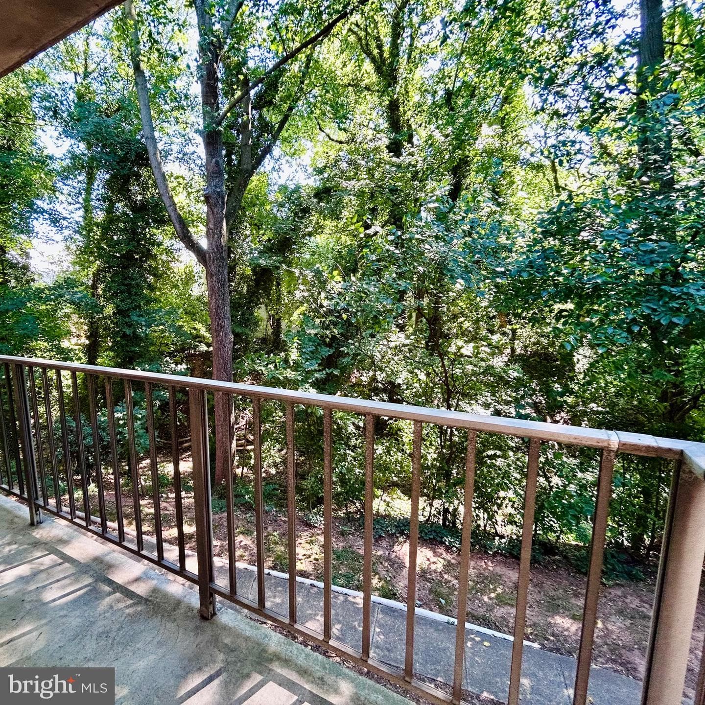 5219 Newton Street #102 photo 8
