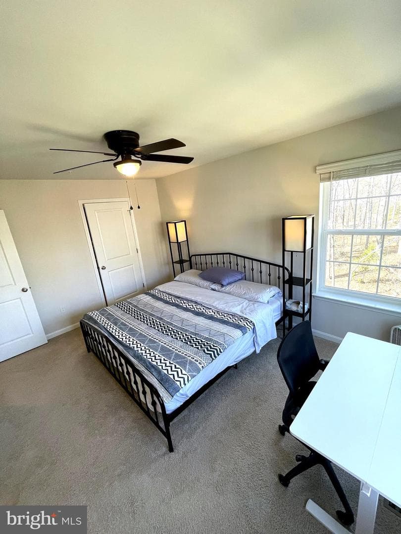 6510 Spoonbill Way photo 34