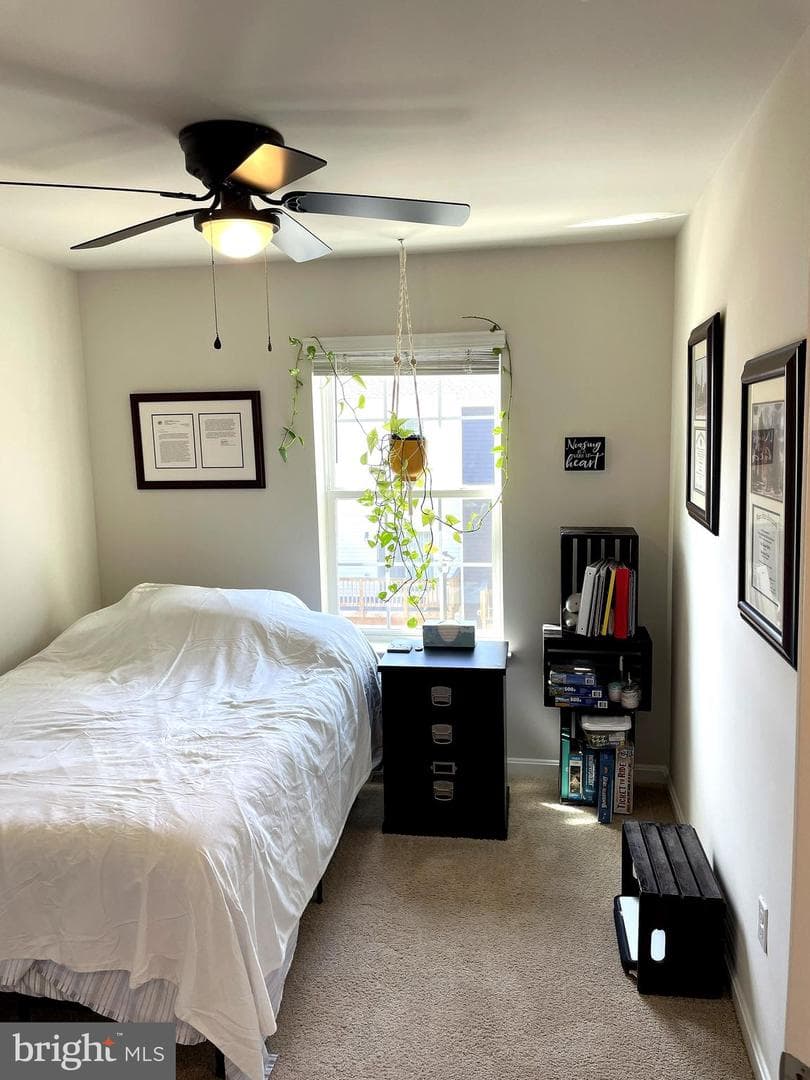 6510 Spoonbill Way photo 47