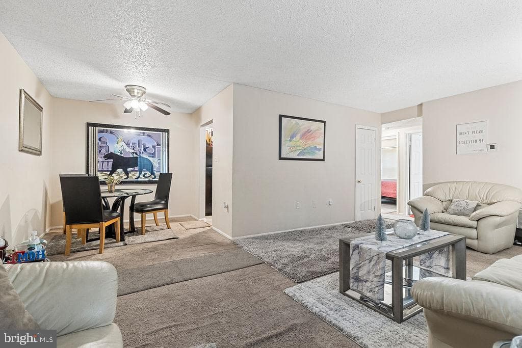 3803 Swann Road #101 photo 11