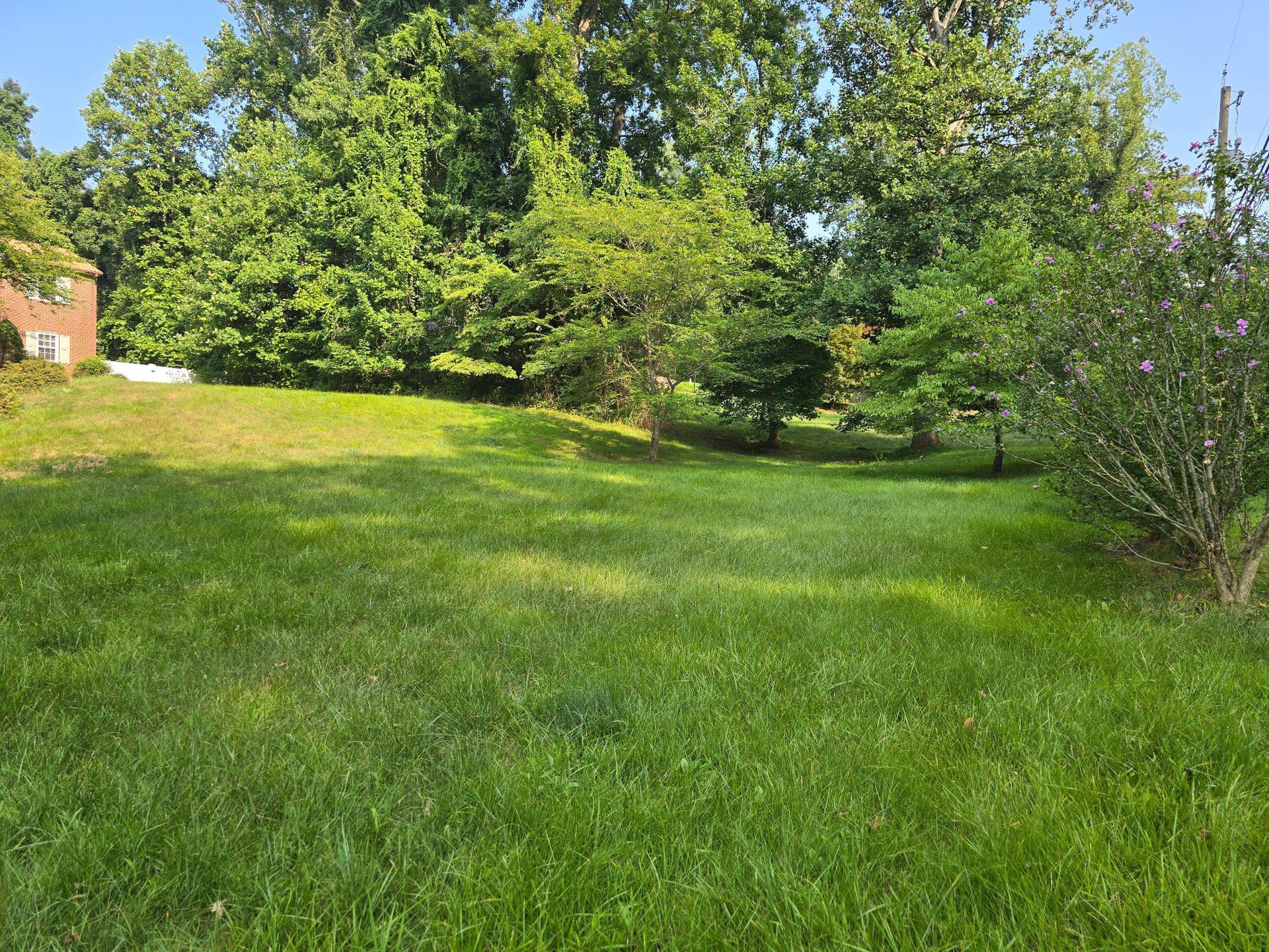3020 Danville Road photo 3