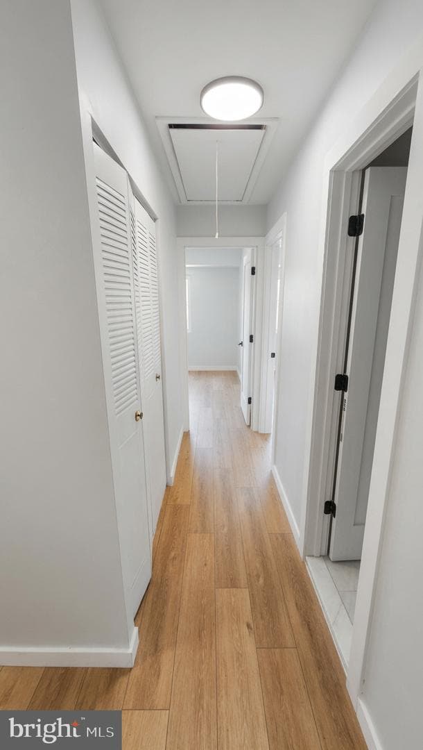 7017 Cipriano Woods Court photo 18