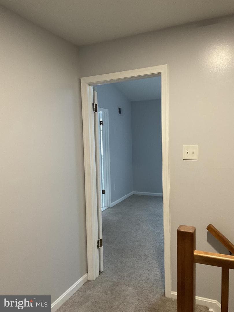 Md photo 19
