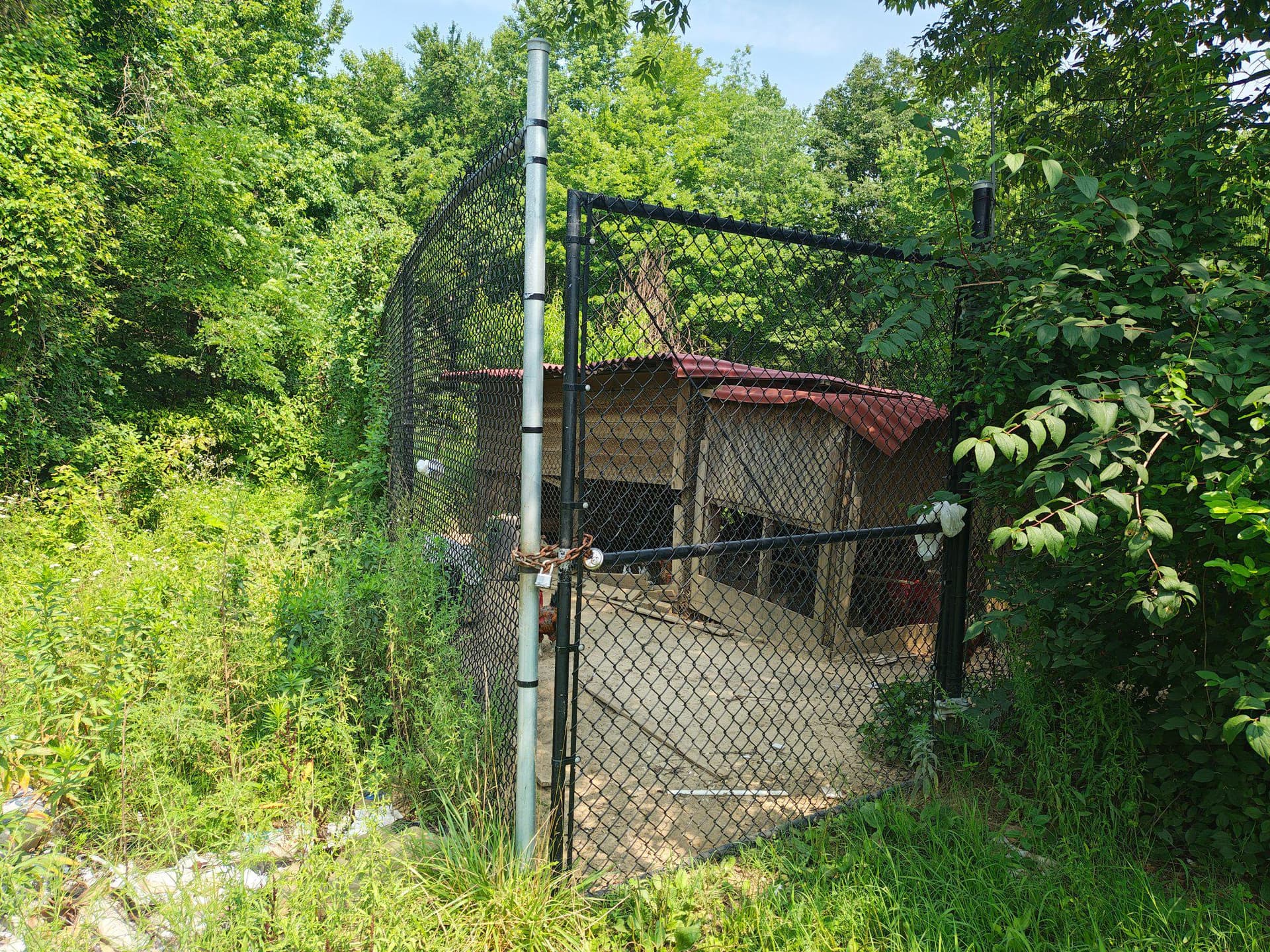 17737 Horsehead Road photo 11