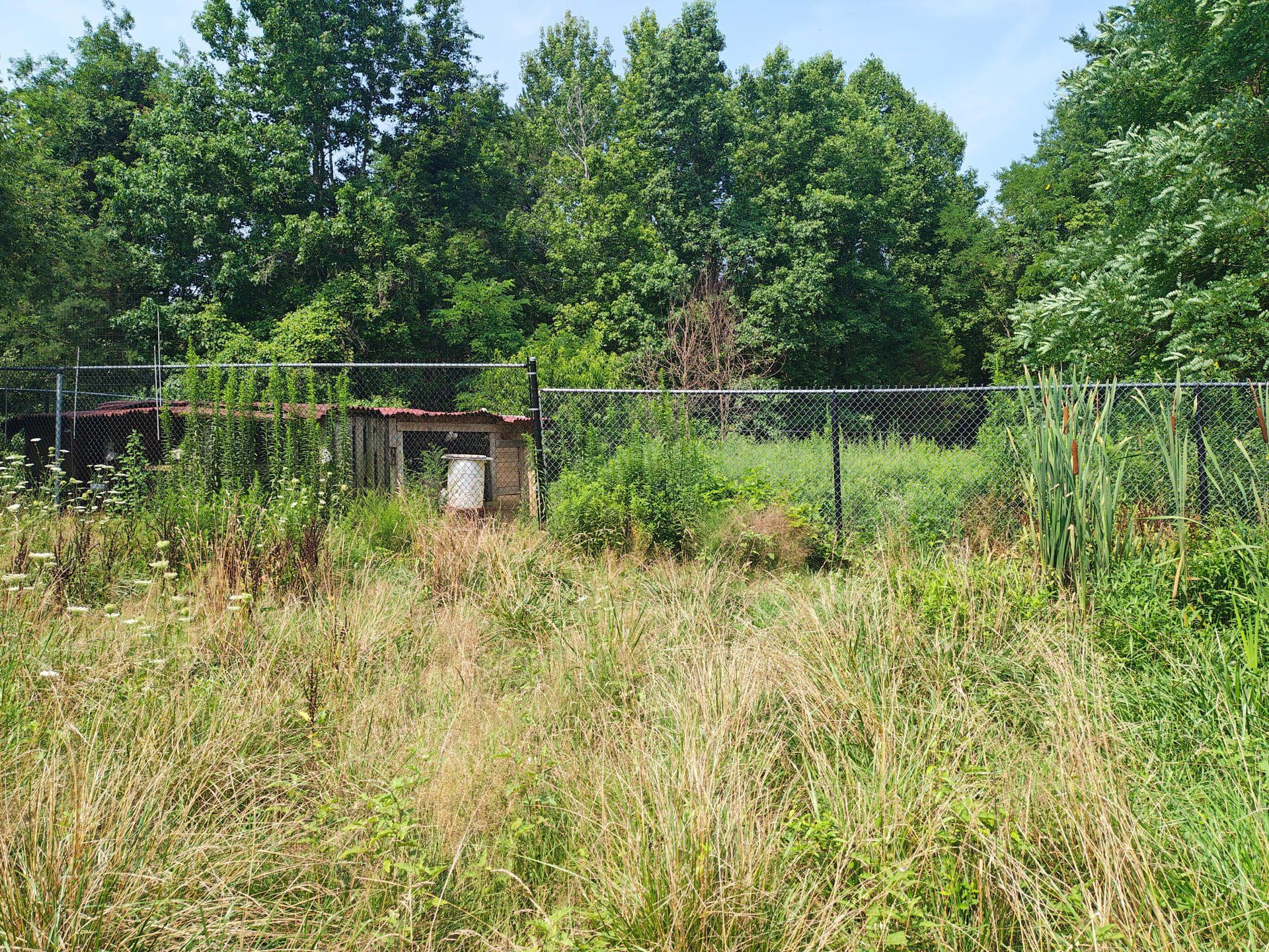 17737 Horsehead Road photo 13
