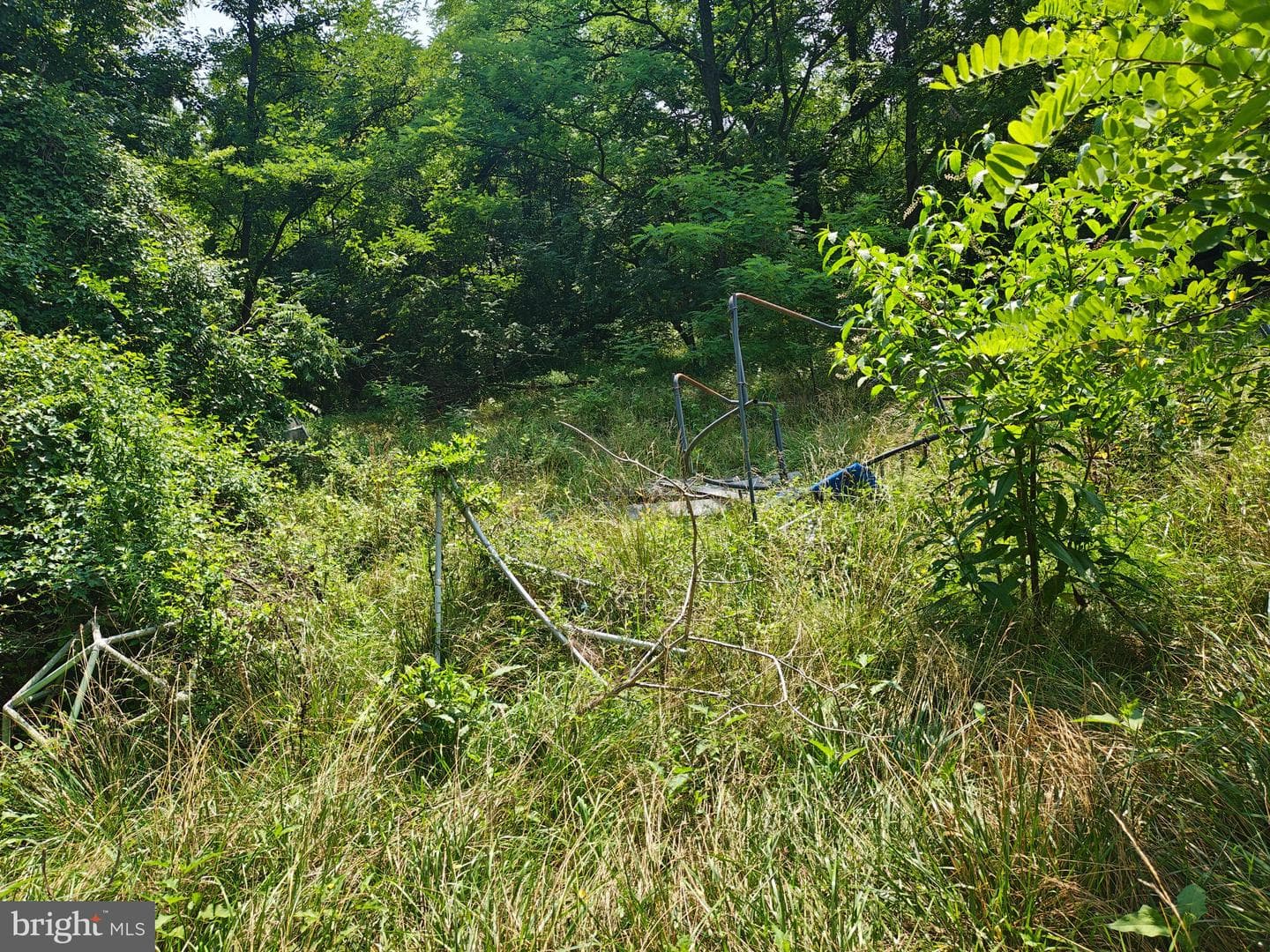 17737 Horsehead Road photo 15