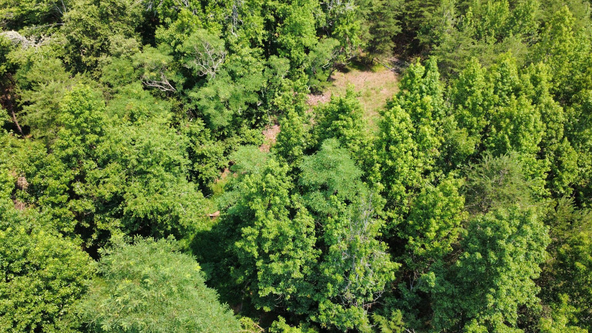 17737 Horsehead Road photo 17