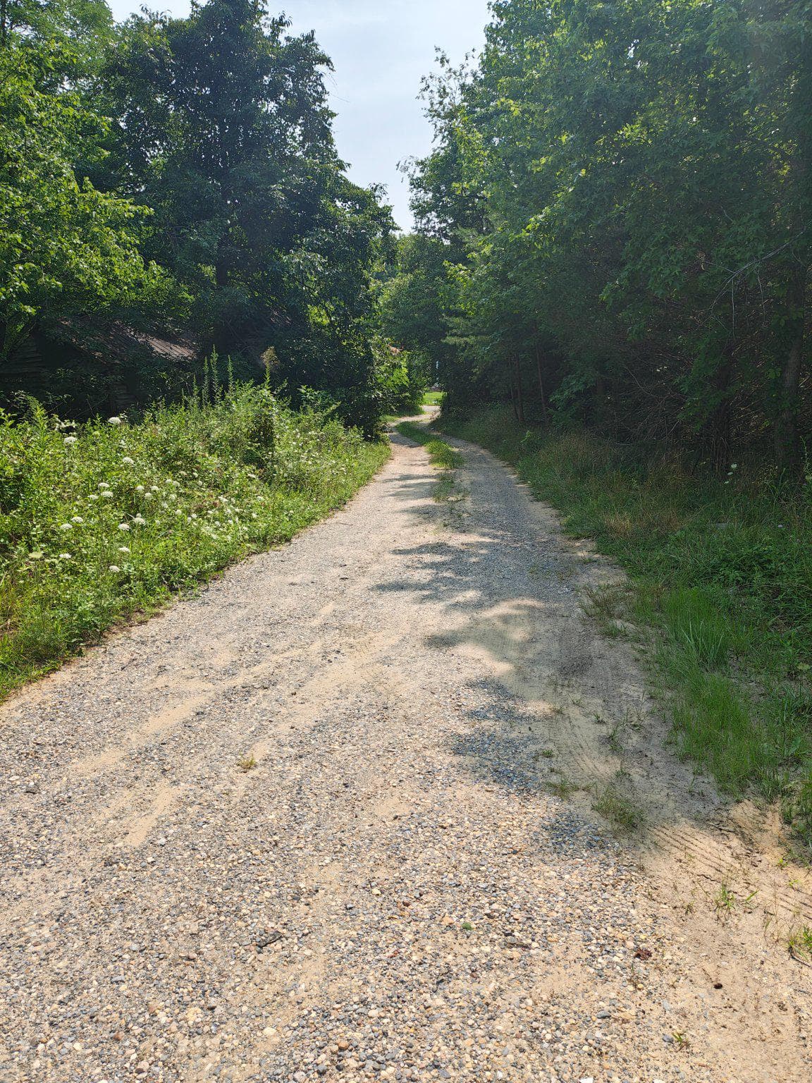 17737 Horsehead Road photo 9