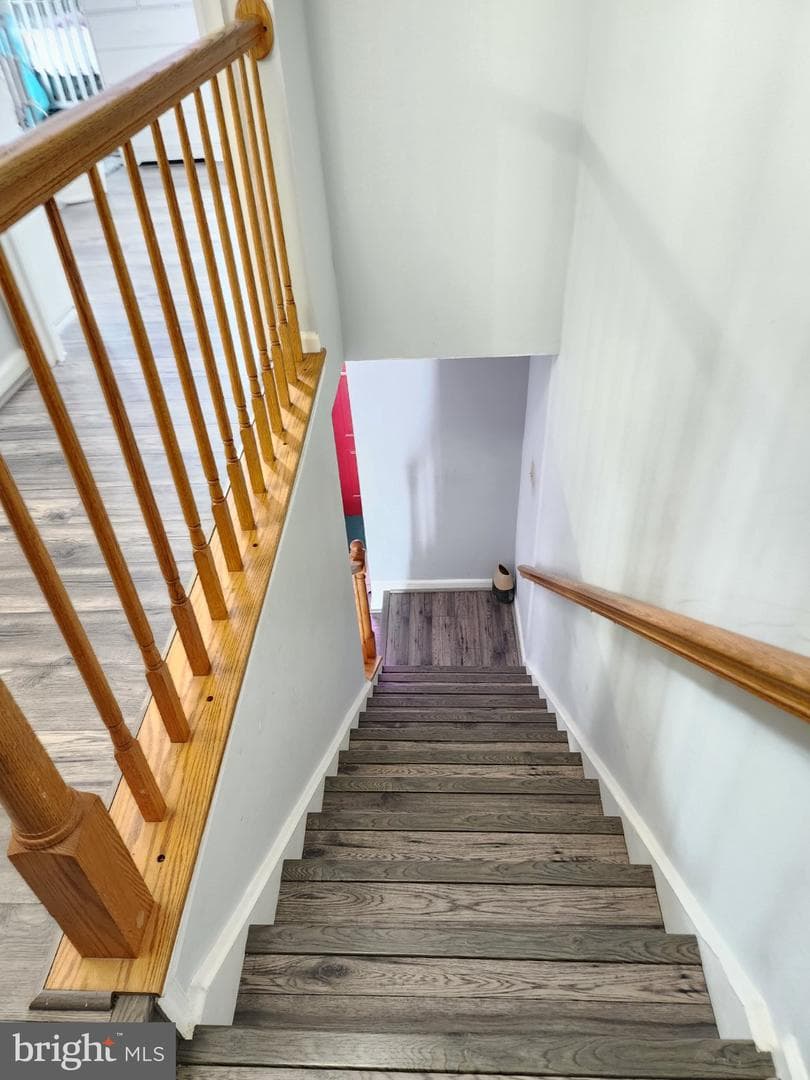 11218 Black Foot Ct photo 33