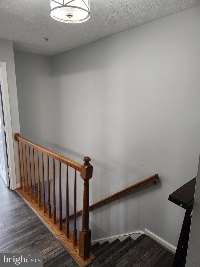 11218 Black Foot Ct photo 44