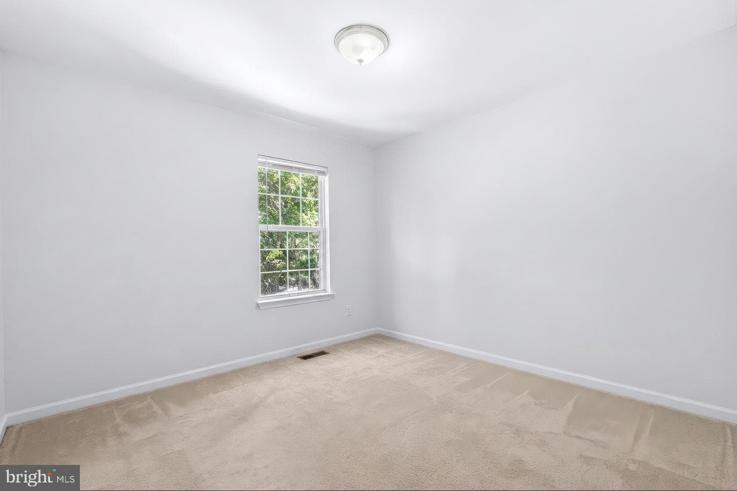 8707 Delphi Drive photo 23
