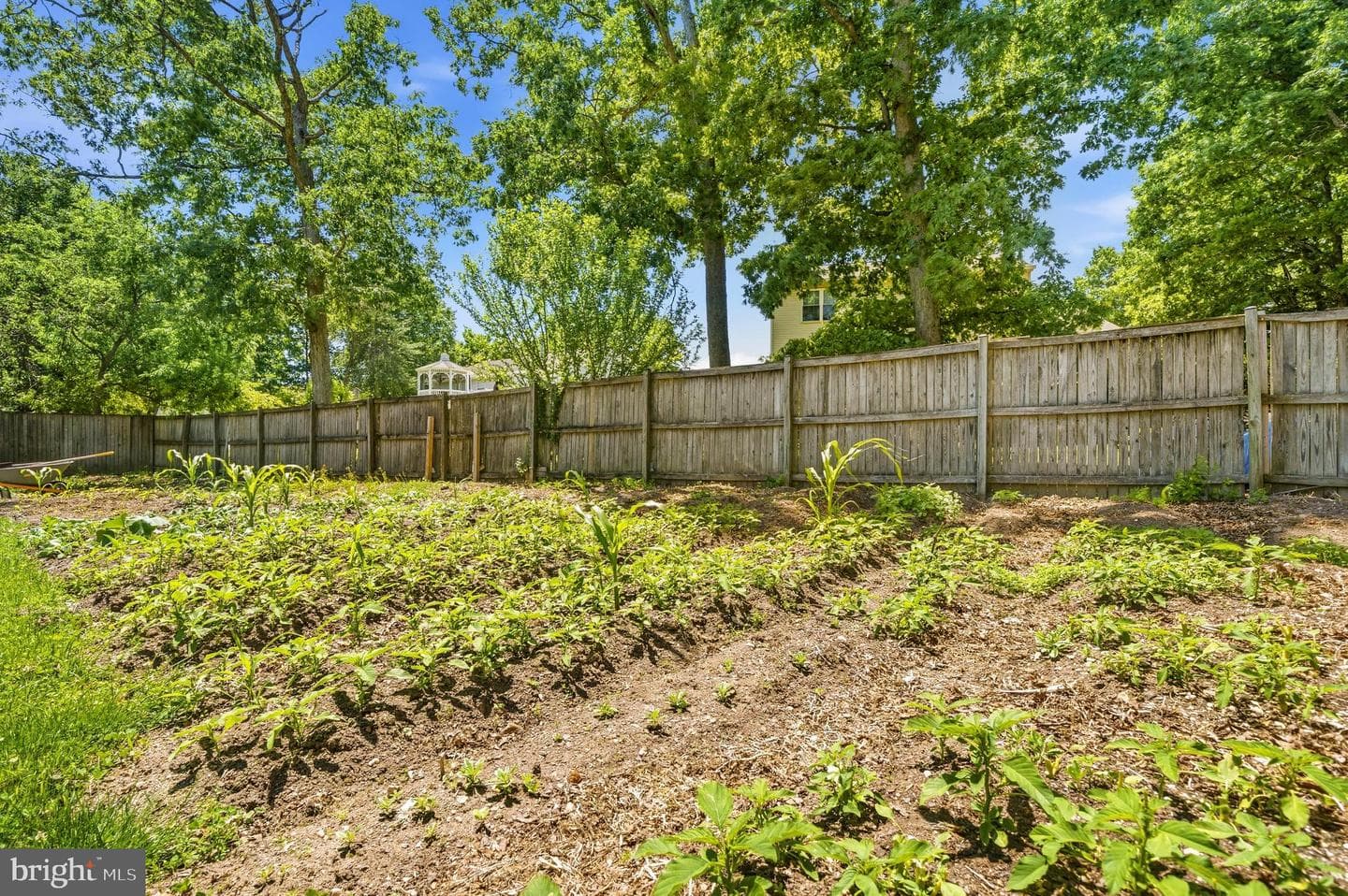 8707 Delphi Drive photo 35