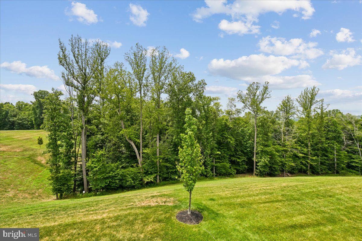 12503 Old Habersham Lane photo 45