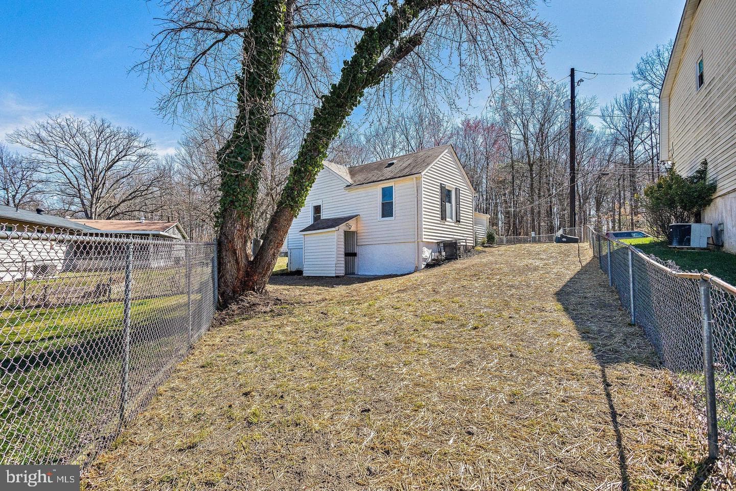 6510 Blacklog Street photo 24