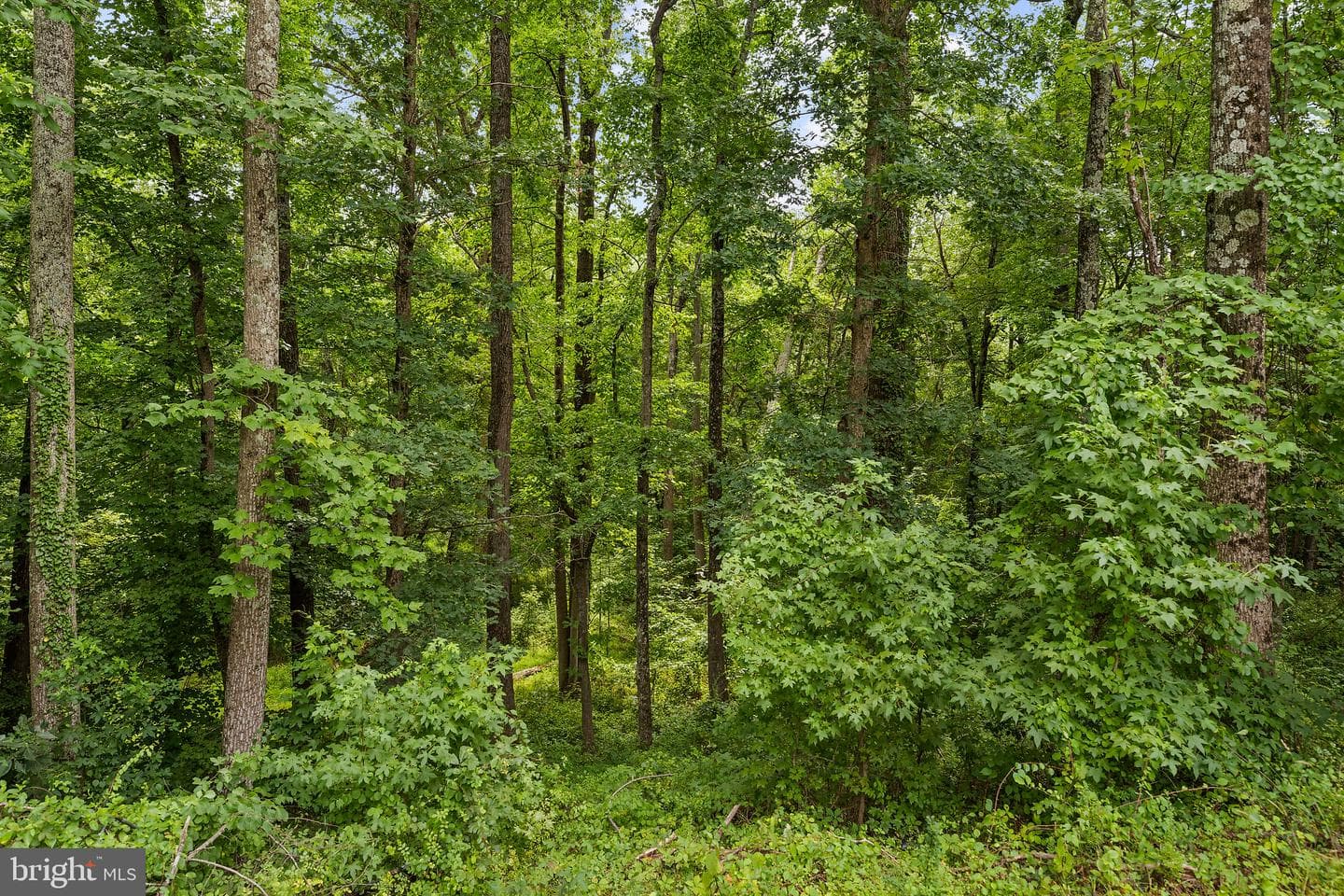 5609 San Juan Drive photo 27