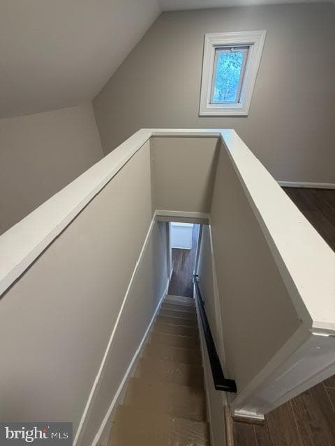 4008 Alton Street photo 20
