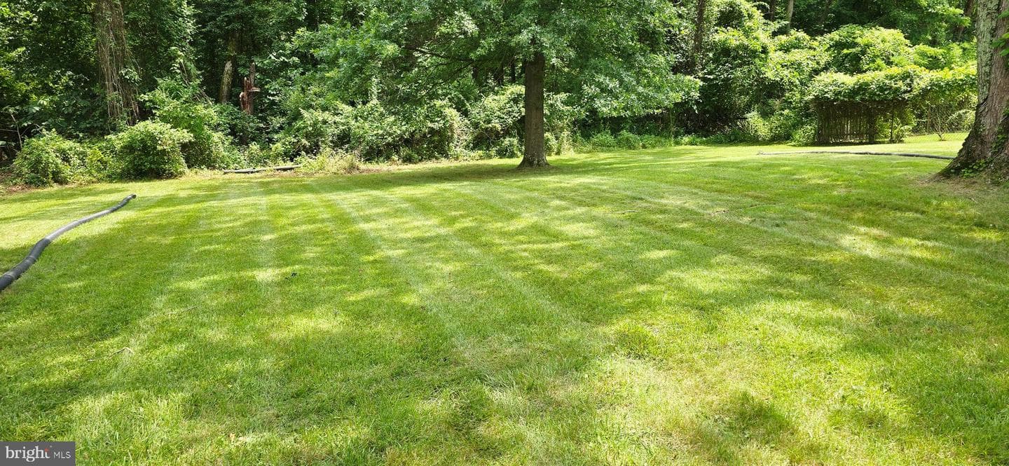 8108 Alcoa Drive photo 4
