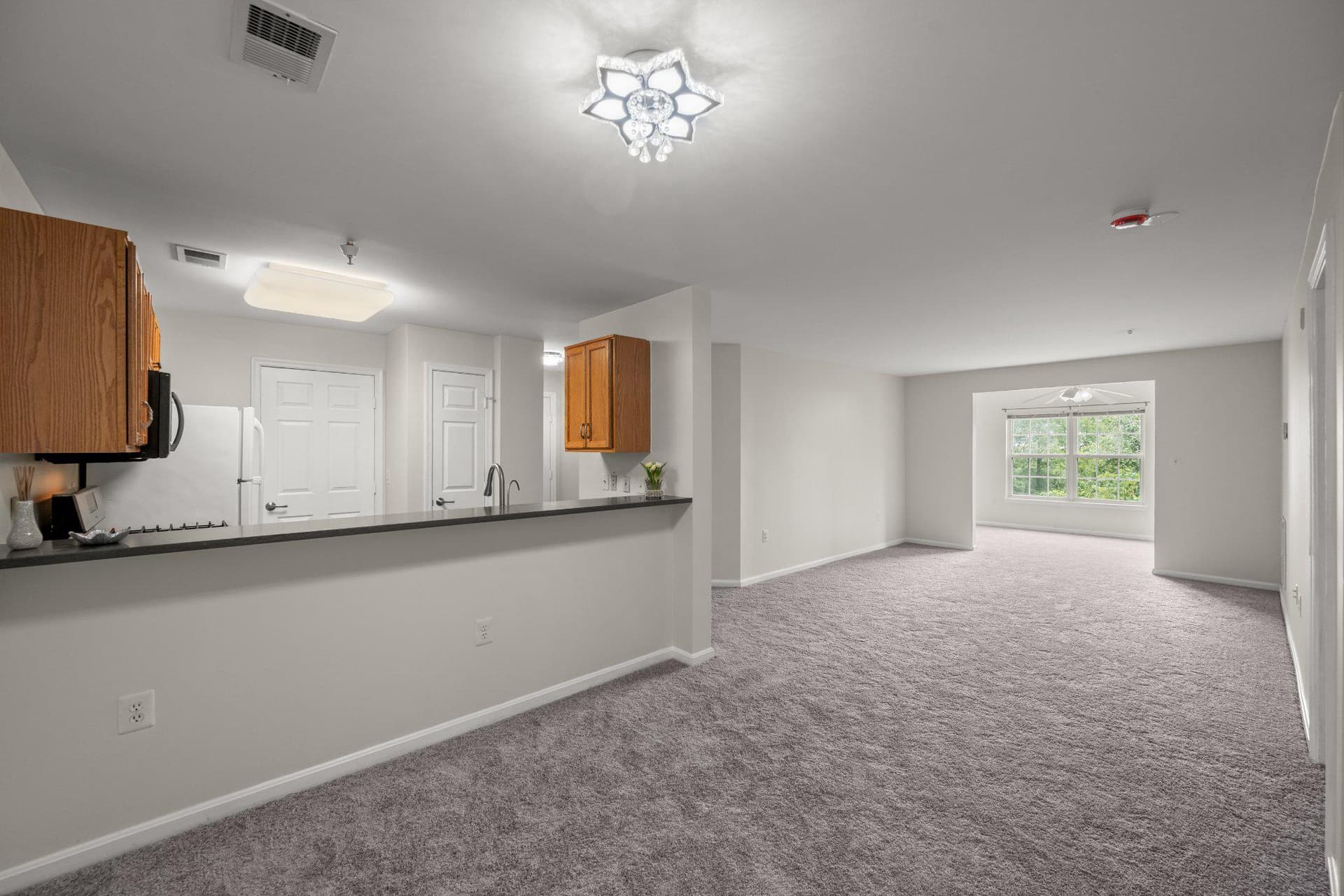 6600 Lake Park Drive #2h photo 10