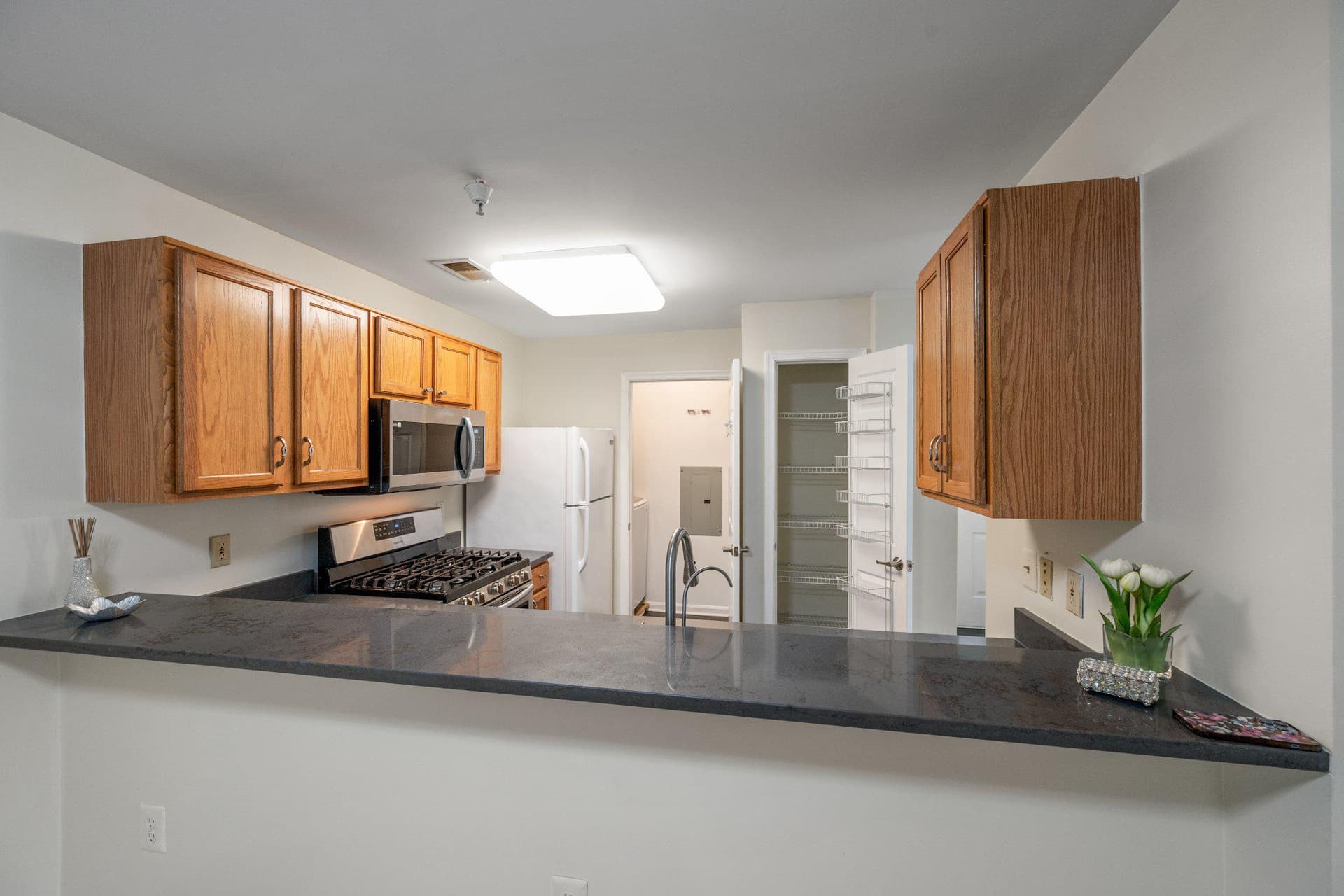 6600 Lake Park Drive #2h photo 16