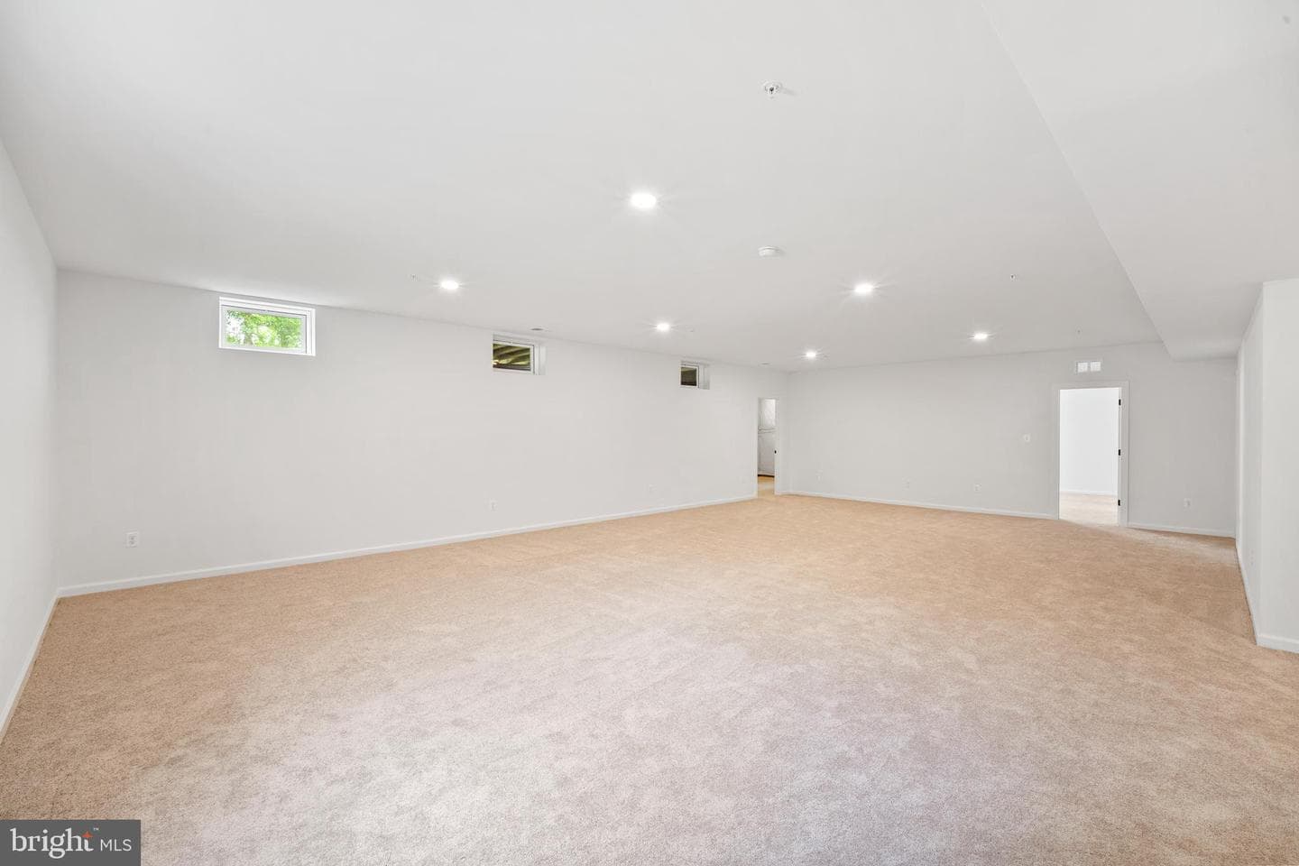 11710 Moriarty Court photo 67