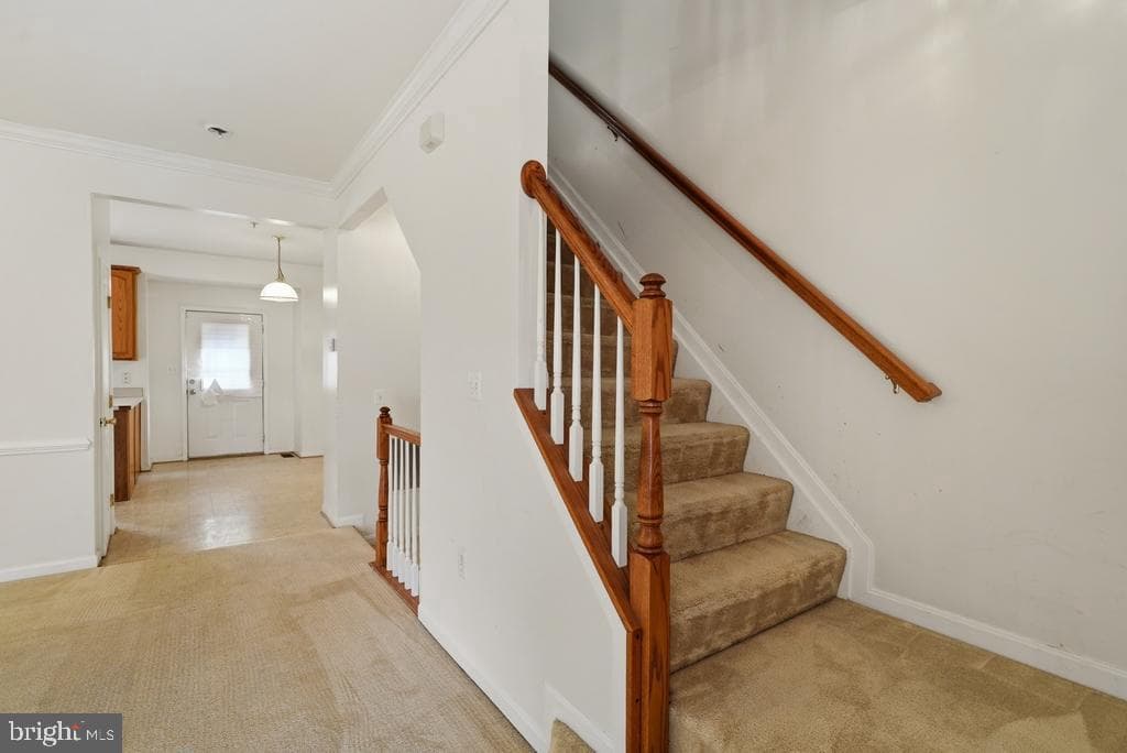 7033 Chadds Ford Drive photo 16