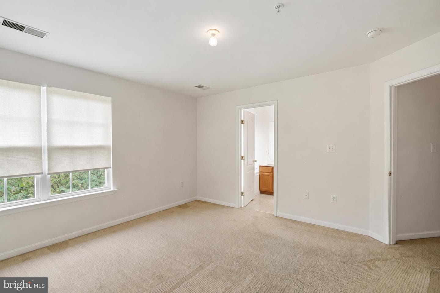 7033 Chadds Ford Drive photo 19