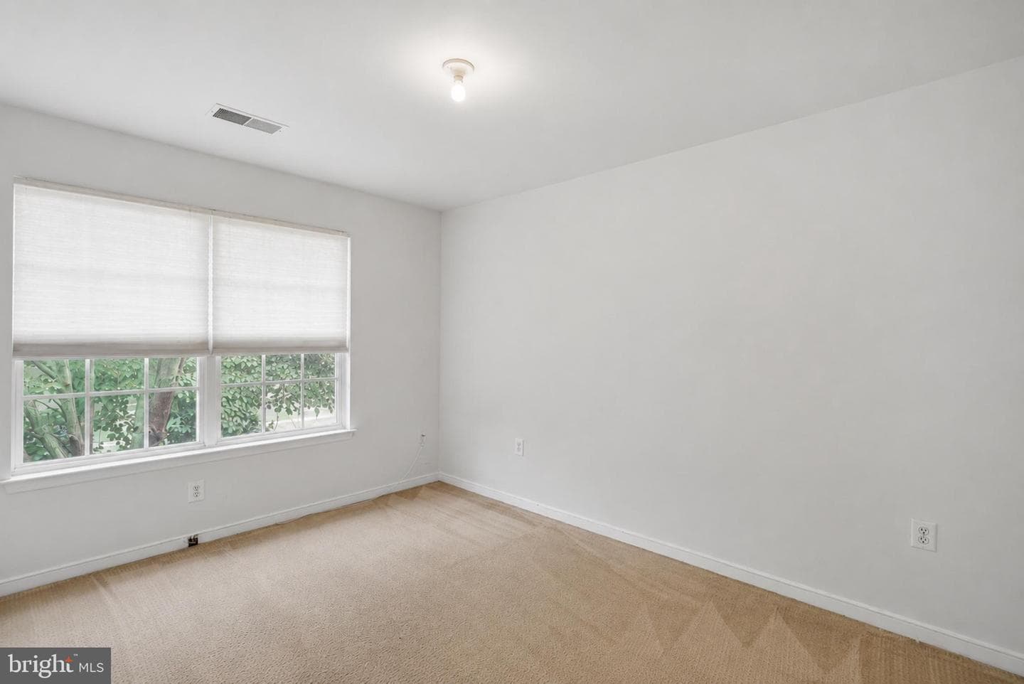 7033 Chadds Ford Drive photo 23