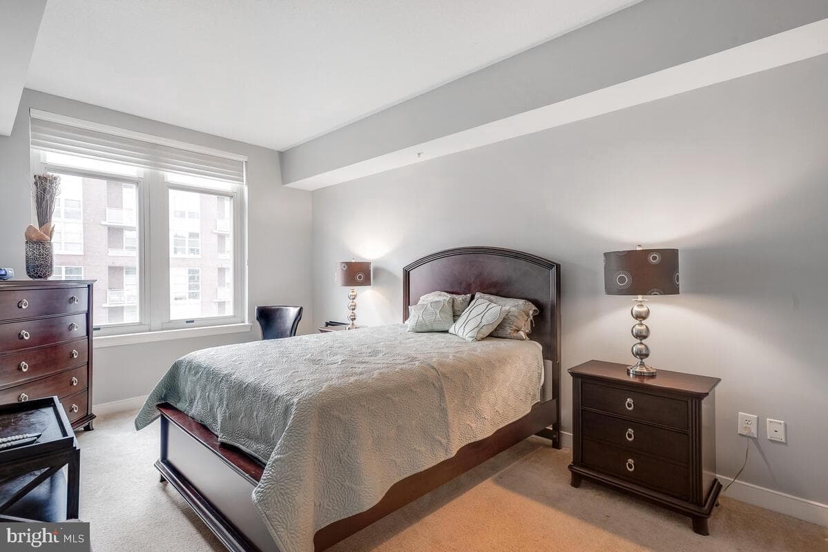 155 Potomac Passage #909 photo 16
