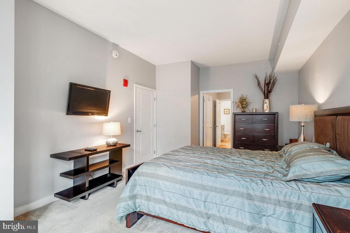 155 Potomac Passage #909 photo 18