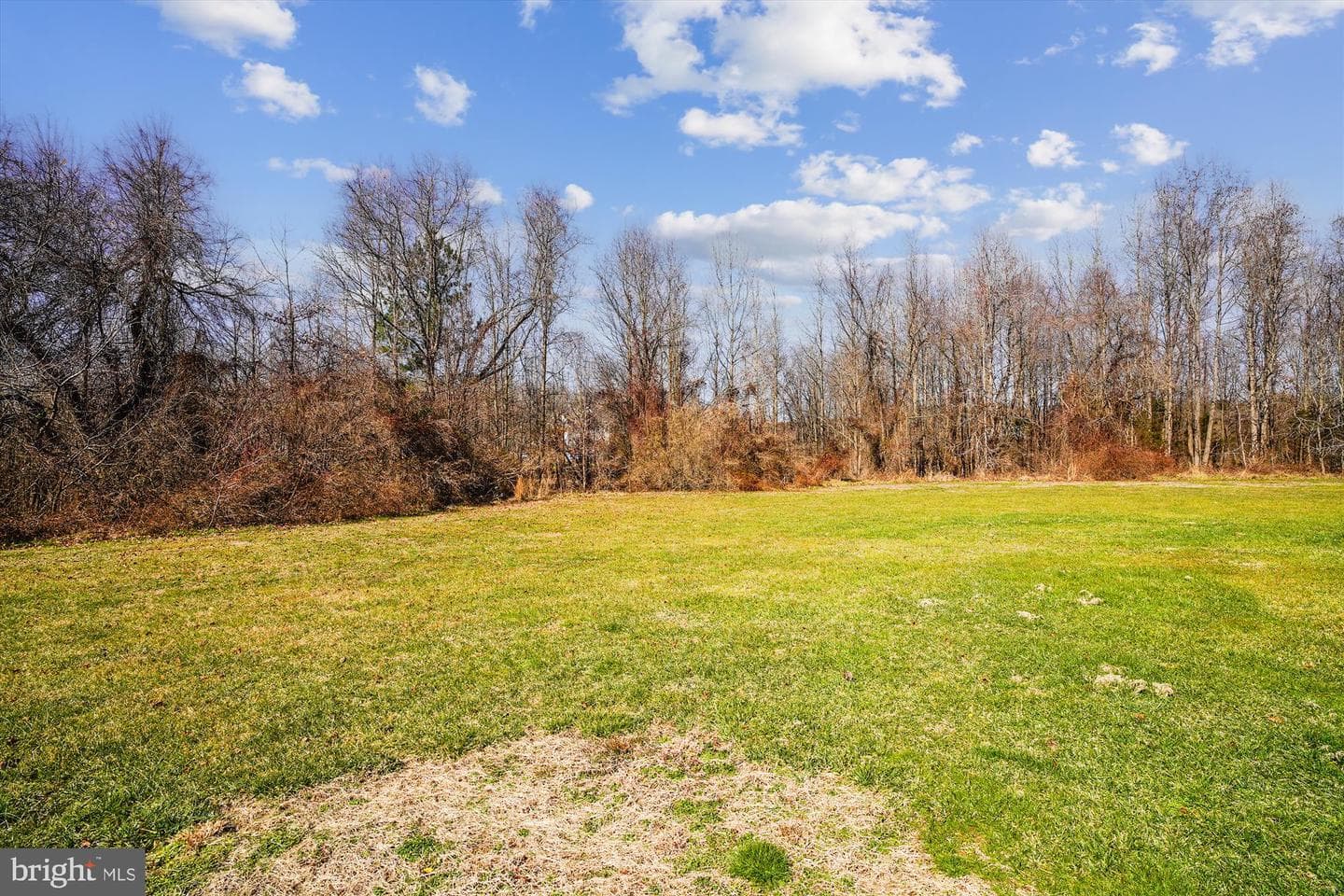 139 Claiborne Fields Drive photo 10