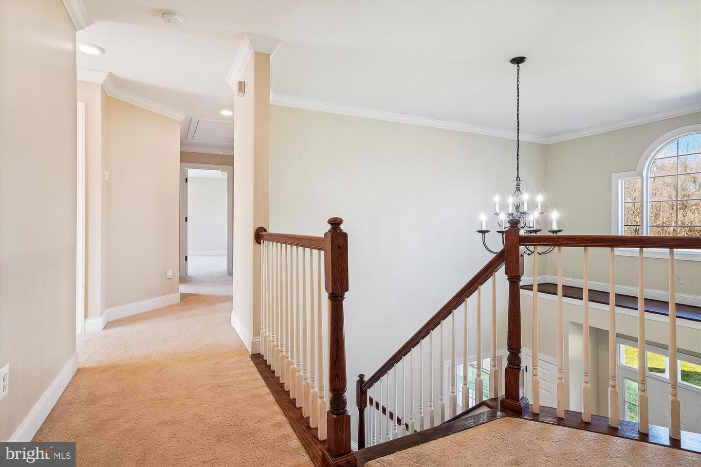 139 Claiborne Fields Drive photo 37